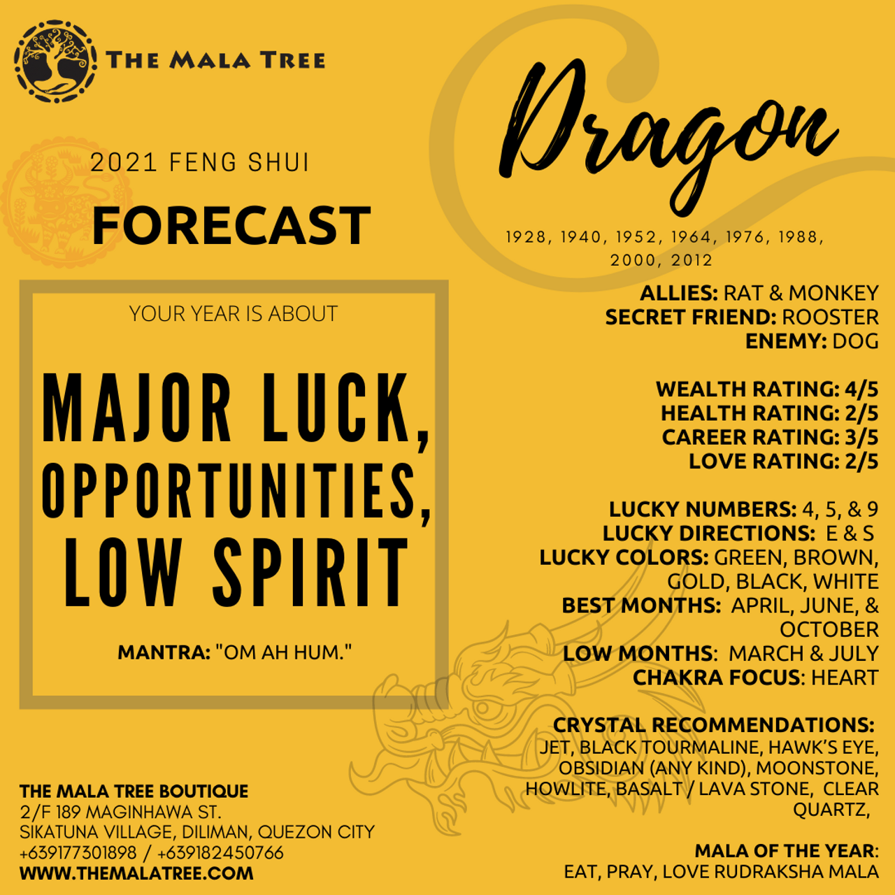 DRAGON in 2021 DRAGON in 2021